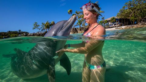Dolphin Encounter + Monkeys & Sloths