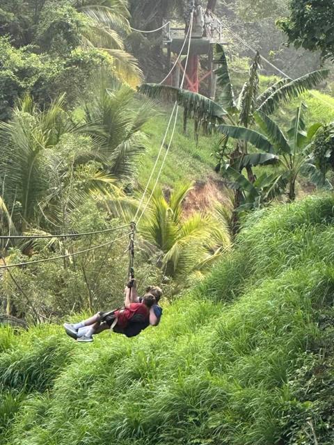 King Kong Extreme Zipline